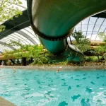 Center Parcs Het Meerdal: Ferienpark in Limburg mit Indoor-Schwimmparadies
